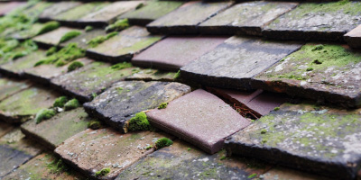 Kewstoke roof repair costs